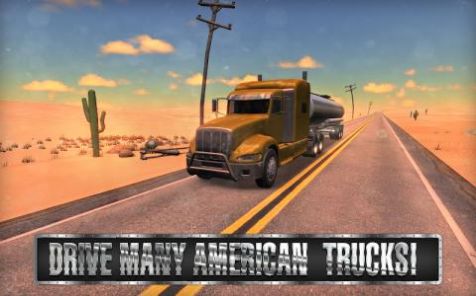 Universal Truck Simulator手机版图3