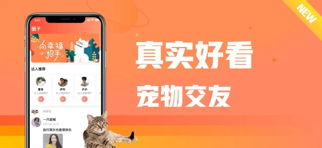 坏猫app图2