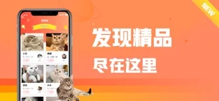 坏猫app图3