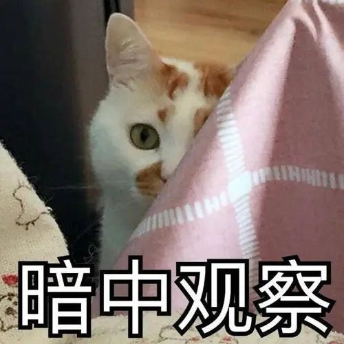 所以各位家長才會控制不住的想要看看自己孩子能不能適應的好.