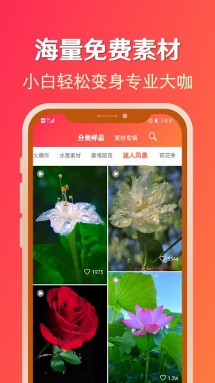 淘素材app手机最新版图1: