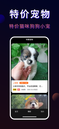 宠物特价购APP宠物商城最新版图1: