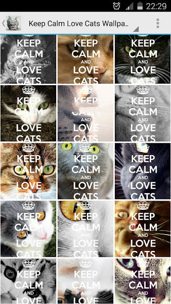 保持冷静爱猫壁纸图片APP手机版（Keep Calm Love Cats Wallpapers）图1: