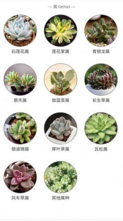 植物君知识资讯app手机版图4: