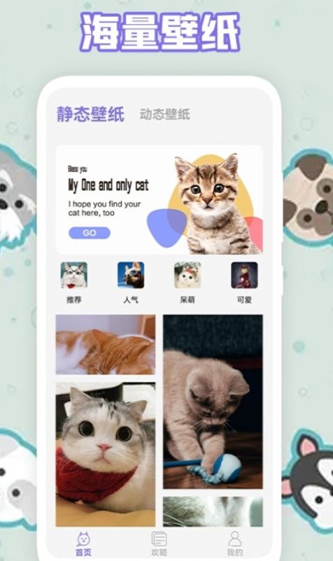 多多养猫助手app图2