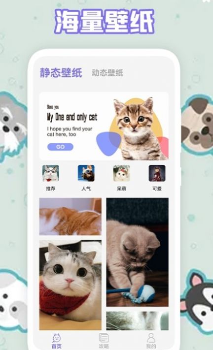 多多养猫助手app图1