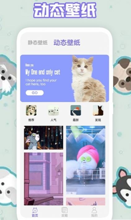 多多养猫助手app最新版图3: