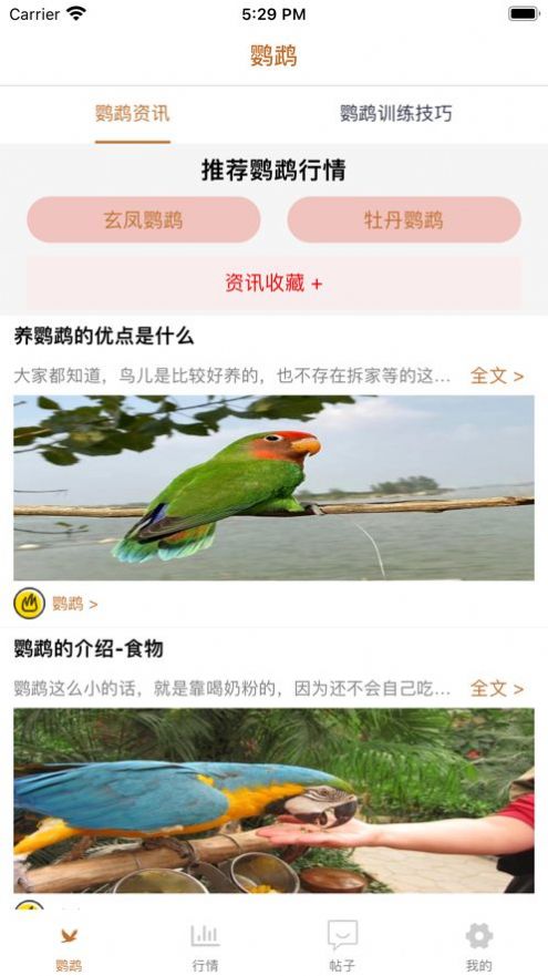 清萌鹦鹉app图3