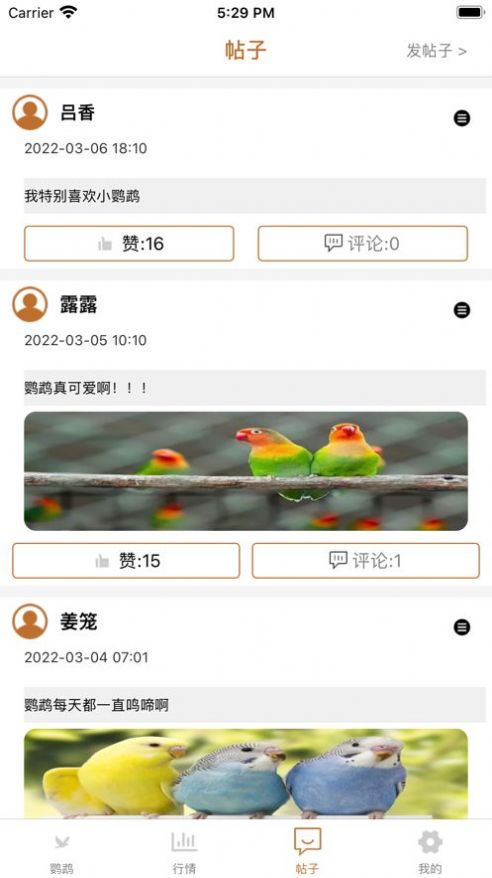 清萌鹦鹉app图2