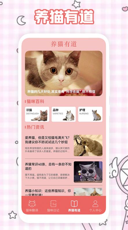 养猫计划翻译app官方版图2: