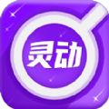 灵动放大镜app