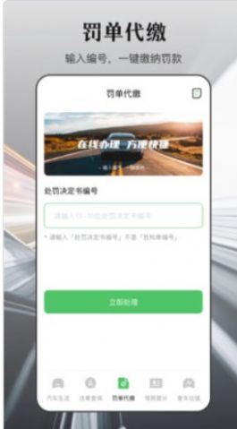 123违章查询助手app图7