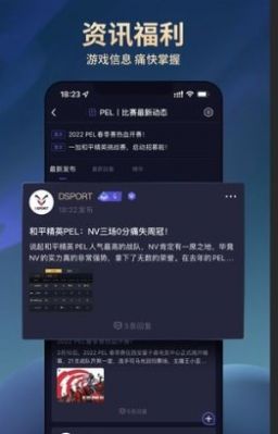 dsport电竞app官方下载图1: