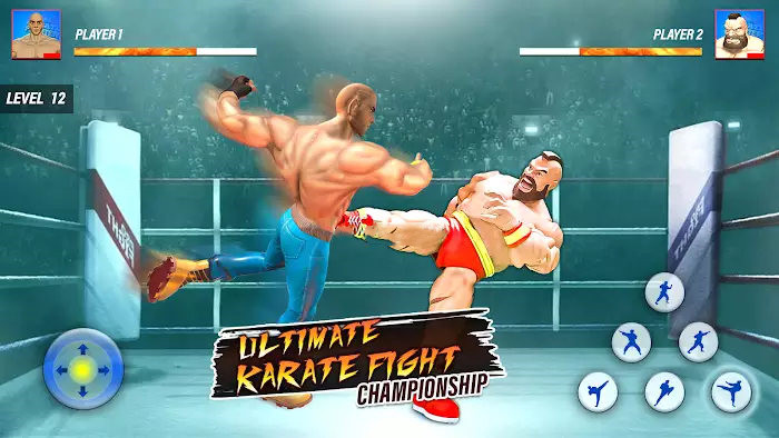 超级英雄卡拉特战士游戏安卓版（Superhero Karaty Fighter）图2: