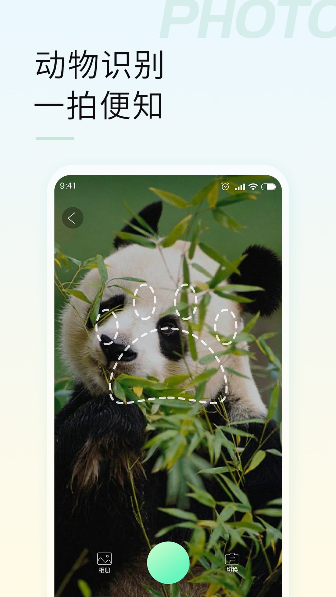 智能拍照识物app最新版图2:
