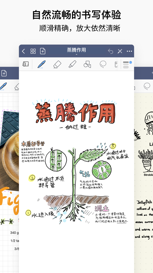 GoodNotes5安装包免费中文版下载iPad图6: