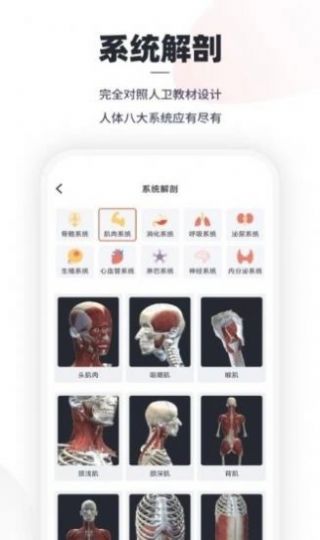 口袋人体解剖2022免费版app下载图2: