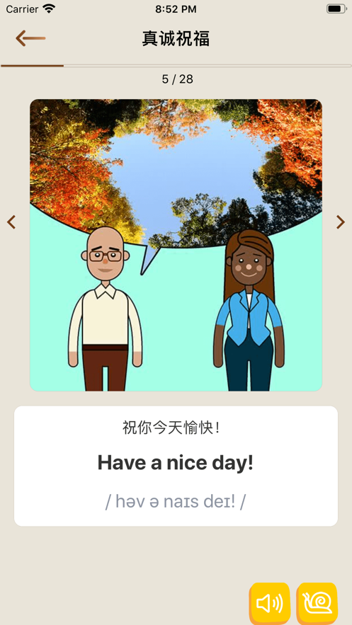 日常英语单词句子app官方版图1: