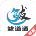 鲅道通司机端app