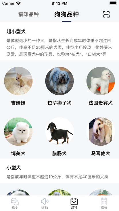 逗宠记录app手机版图2: