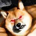 buff doge中文版